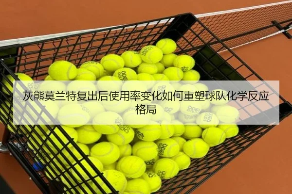 灰熊莫兰特复出后使用率变化如何重塑球队化学反应格局